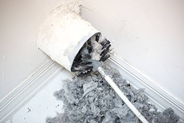 Best Affordable Duct Cleaning Services  in Raymondville, TX